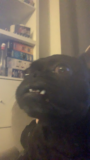 Photo of Burger King - 61 Uplands Cres, Uplands, Swansea SA2 0EZ